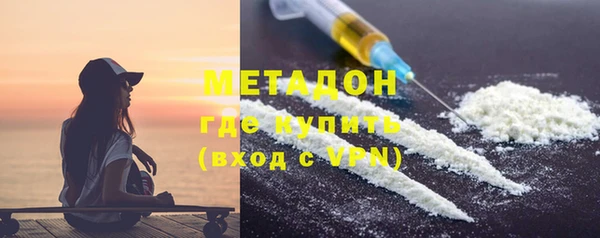 прущие грибы Новозыбков