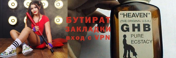 прущие грибы Новозыбков