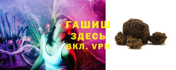 прущие грибы Новозыбков