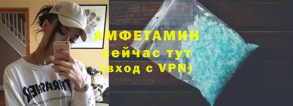 прущие грибы Новозыбков
