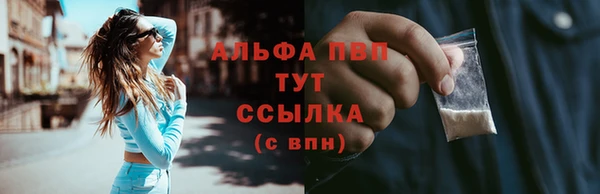 твердый Новокубанск