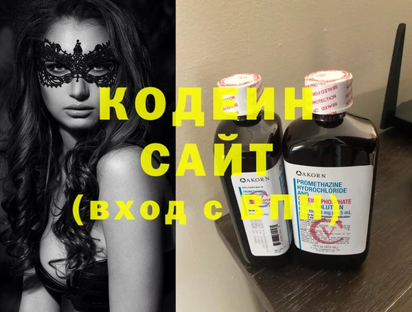 прущие грибы Новозыбков
