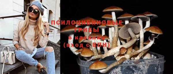 ПСИЛОЦИБИНОВЫЕ ГРИБЫ Нязепетровск