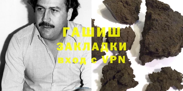 прущие грибы Новозыбков