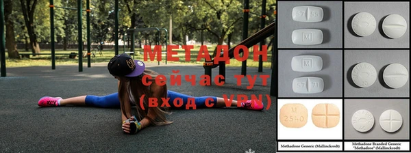 прущие грибы Новозыбков