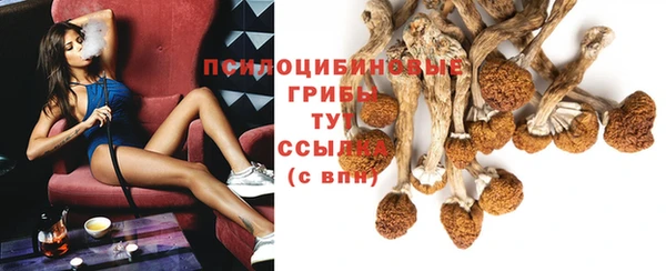 твердый Новокубанск