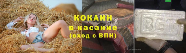 прущие грибы Новозыбков