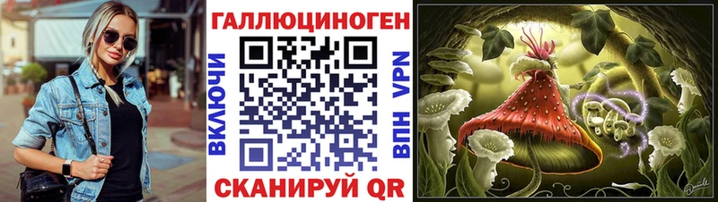 Псилоцибиновые грибы Psilocybine cubensis  закладка  MEGA как войти  площадка как зайти  Отрадное 