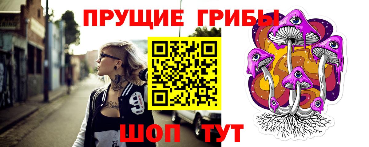 Псилоцибиновые грибы прущие грибы Отрадное