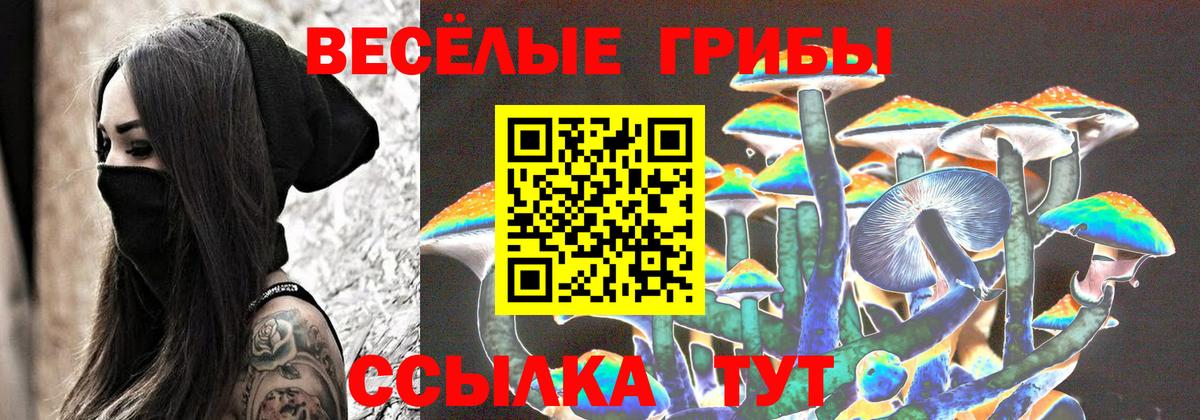 Отрадное  Галлюциногенные грибы прущие грибы  Псилоцибиновые грибы Cubensis  Вход с VPN 